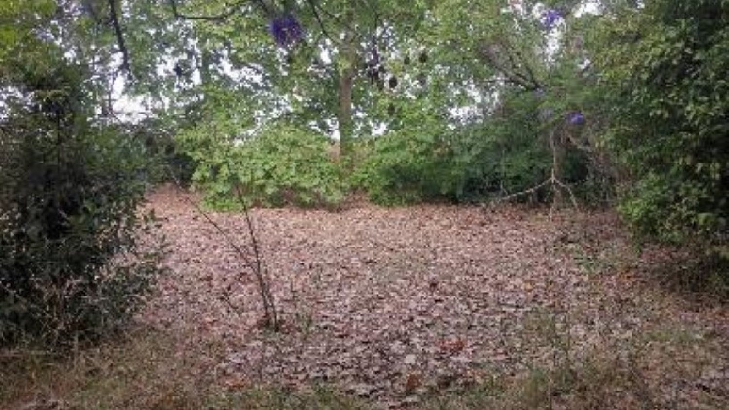  à vendre terrain Umbrete Aljarafe 7