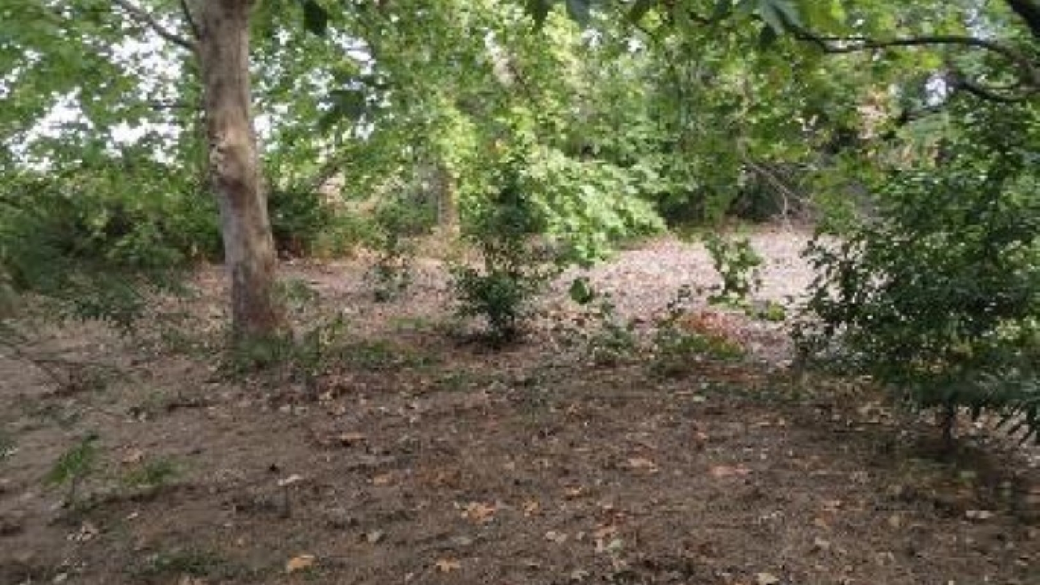  à vendre terrain Umbrete Aljarafe 6