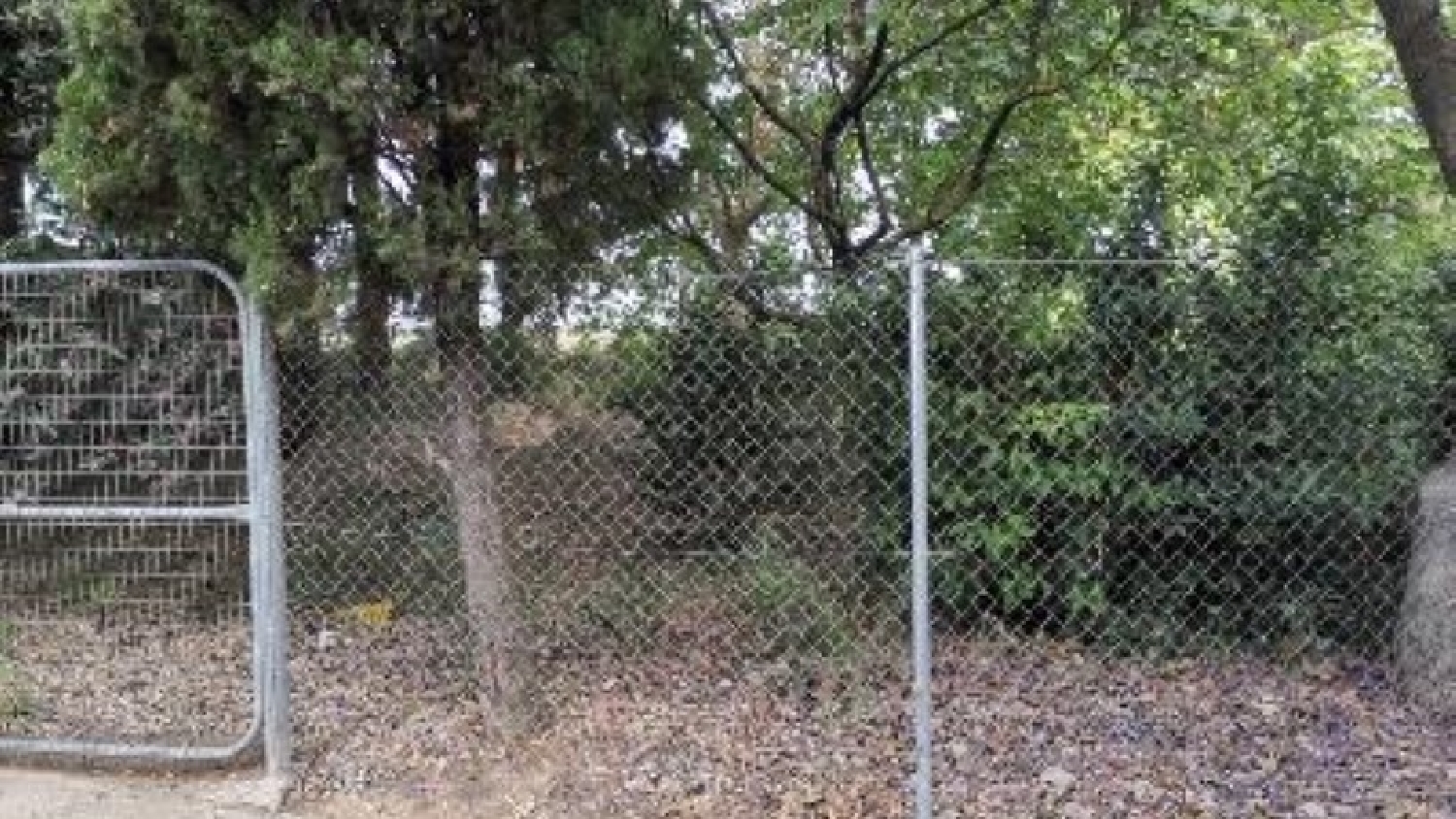 à vendre terrain Umbrete Aljarafe 3