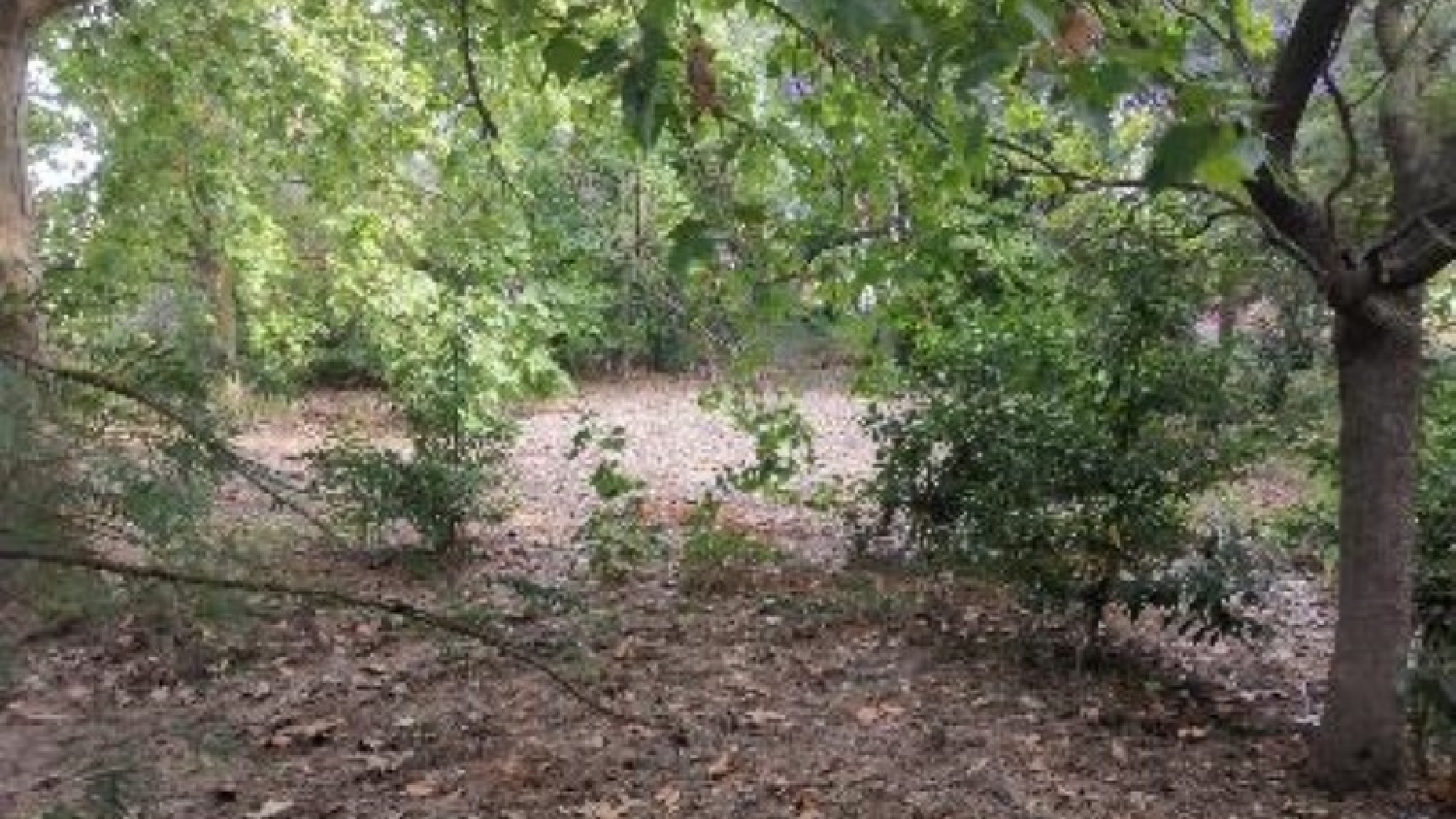 à vendre terrain Umbrete Aljarafe 2
