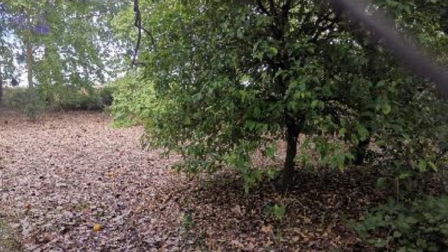  à vendre terrain Umbrete Aljarafe 8