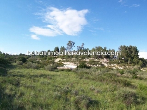 Valencia De Las Torres Campiña Sur plot foto 6306822