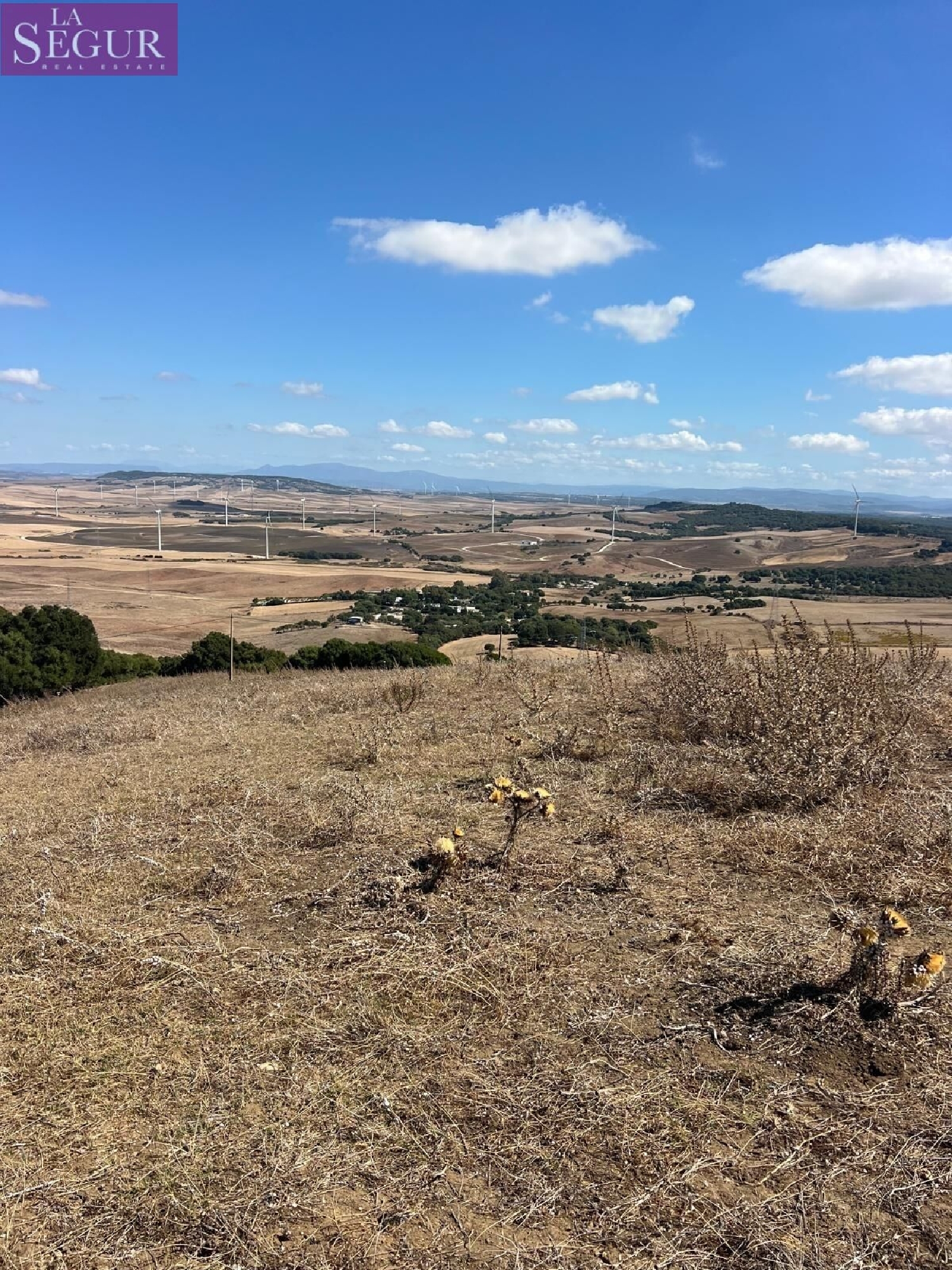  kaufen Grundstück Vejer De La Frontera Janda (La) 5
