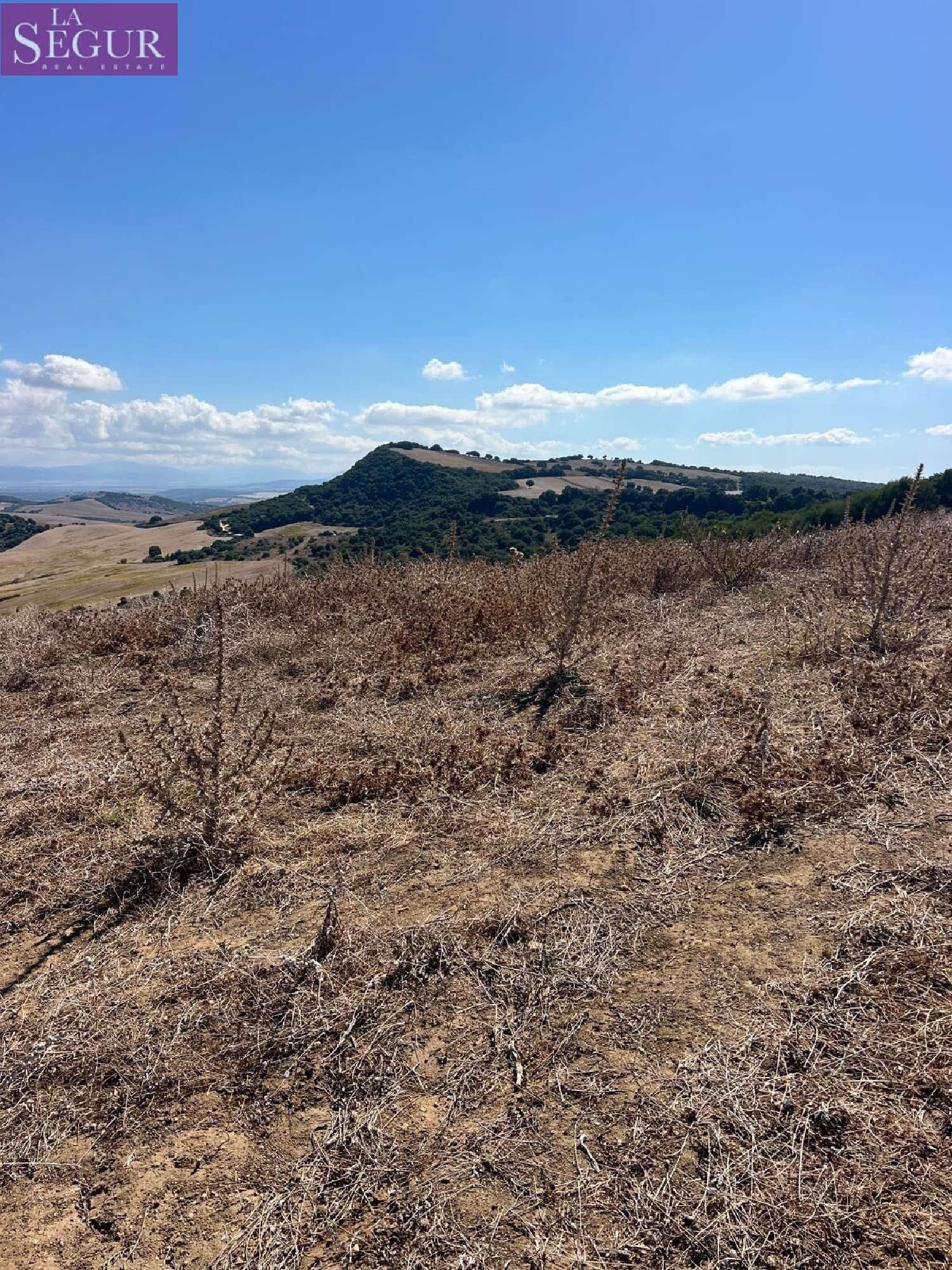 kaufen Grundstück Vejer De La Frontera Janda (La) 3