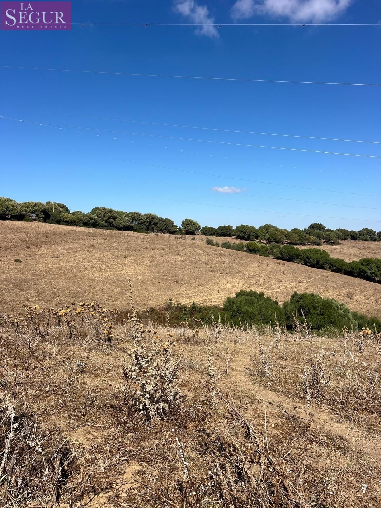  kaufen Grundstück Vejer De La Frontera Janda (La) 7