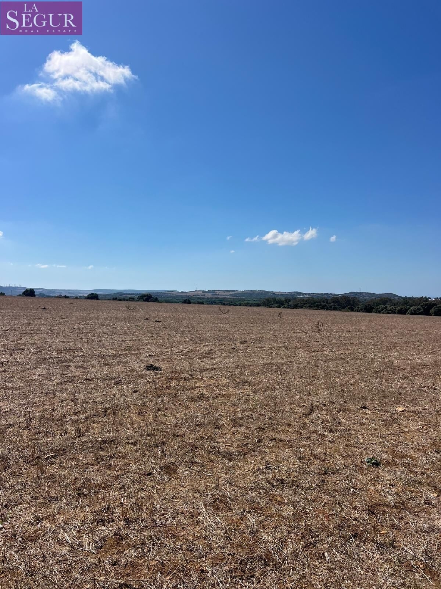 kaufen Grundstück Vejer De La Frontera Janda (La) 3
