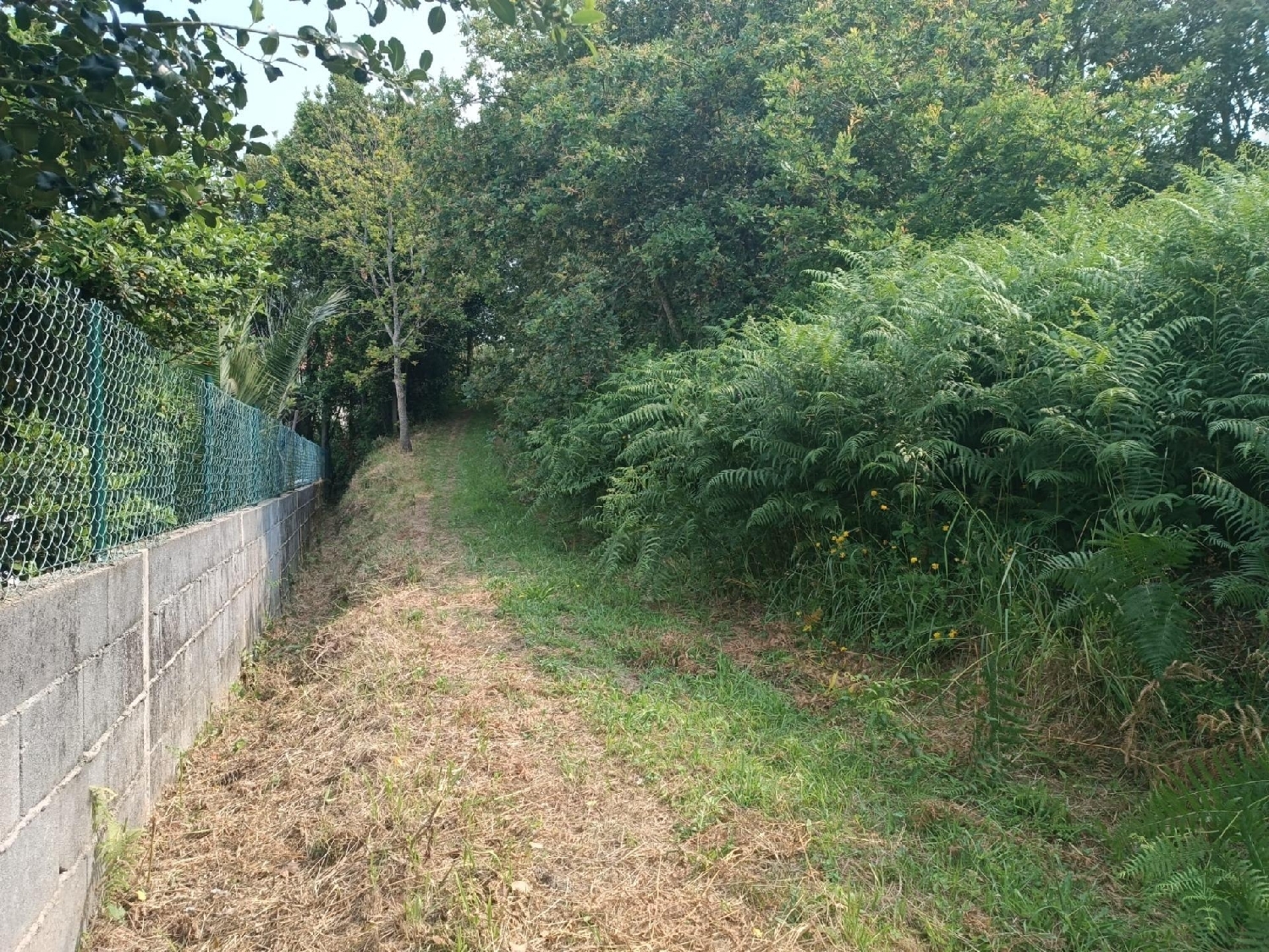  for sale plot Vigobo Barcala 8