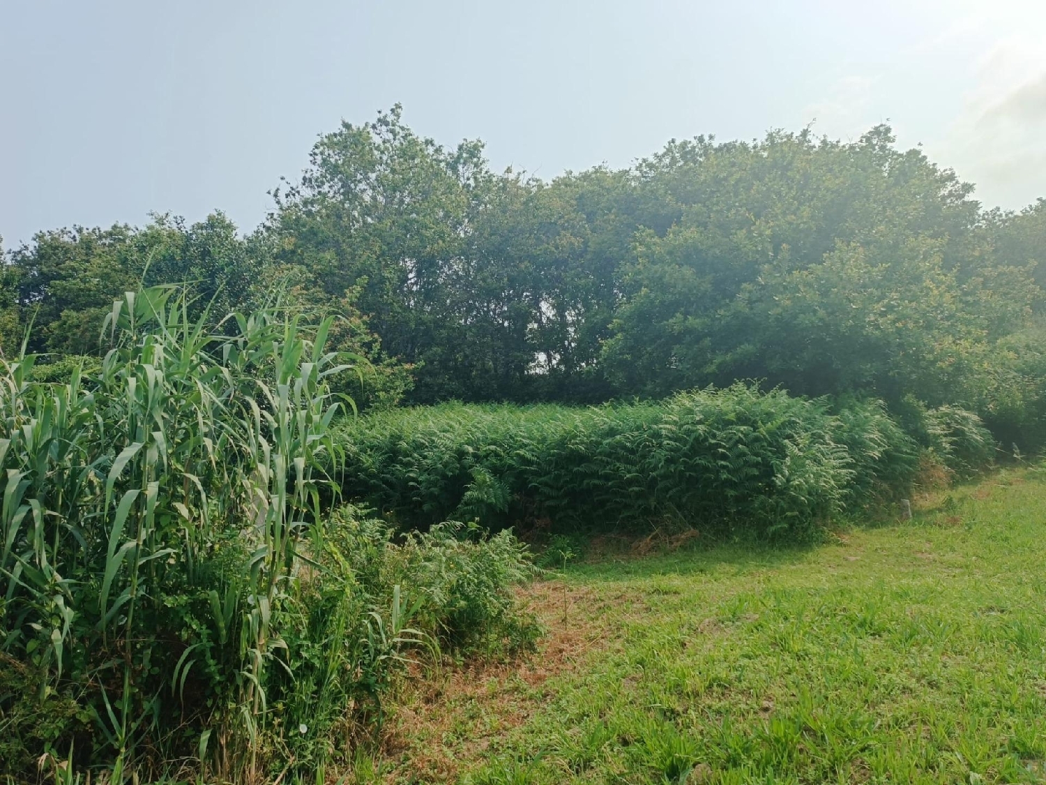 for sale plot Vigobo Barcala 7