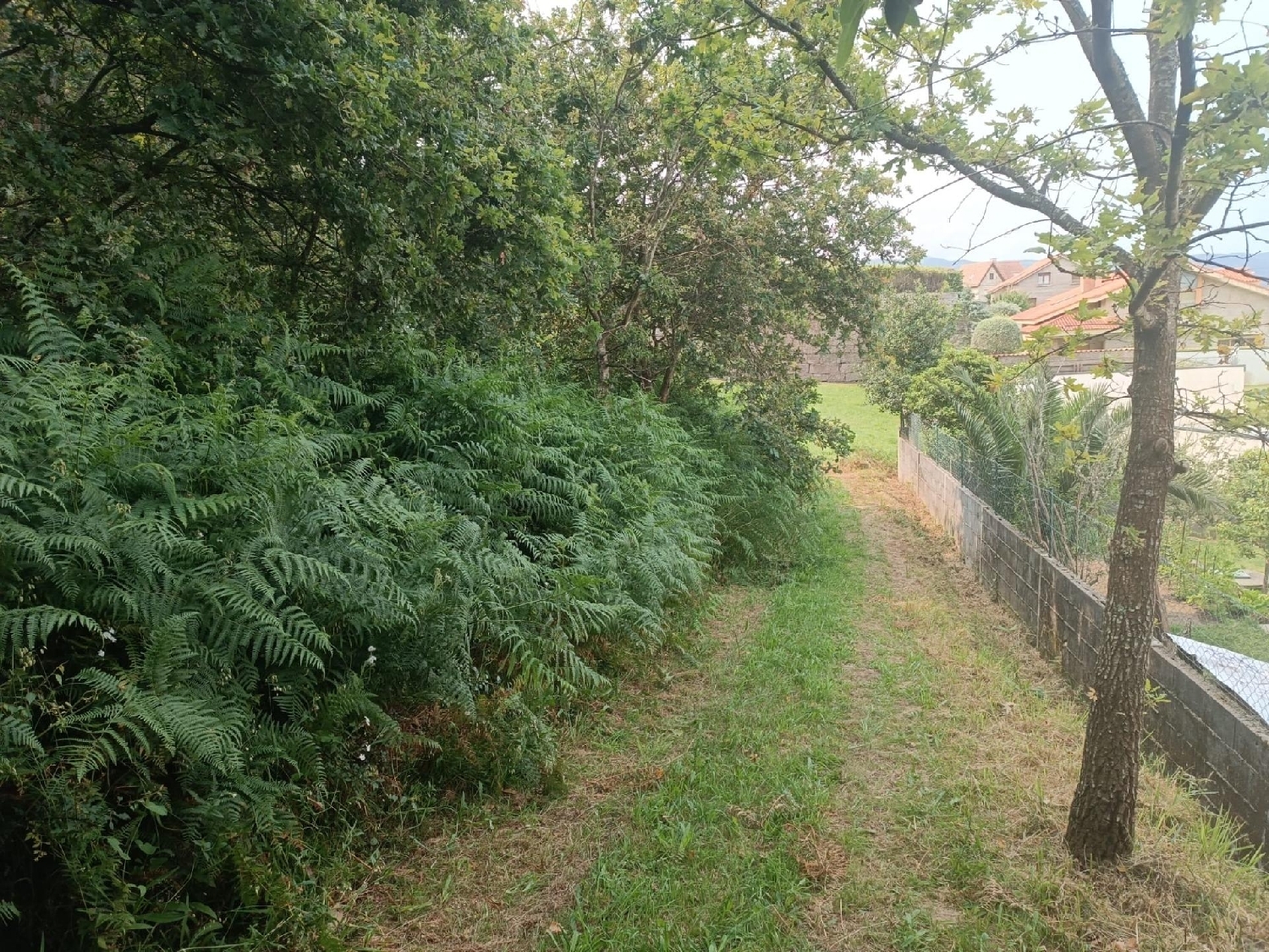  for sale plot Vigobo Barcala 4
