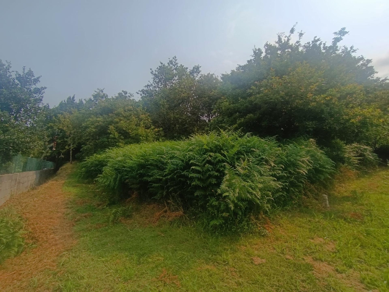  for sale plot Vigobo Barcala 5
