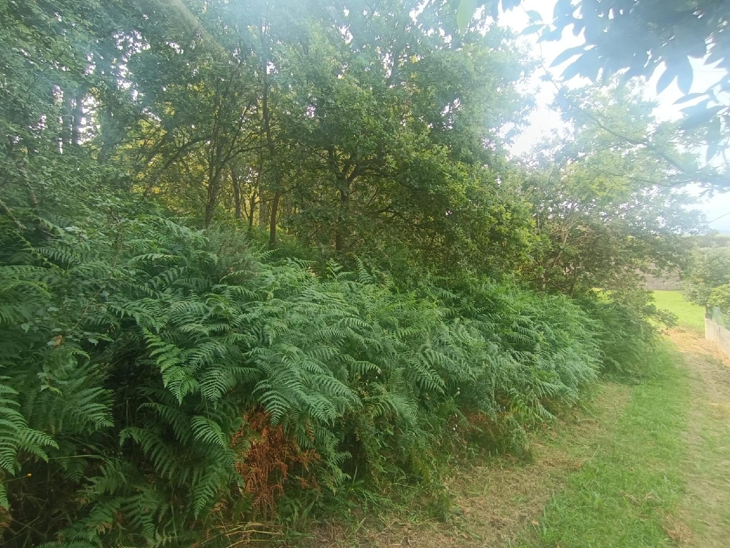 for sale plot Vigobo Barcala 3
