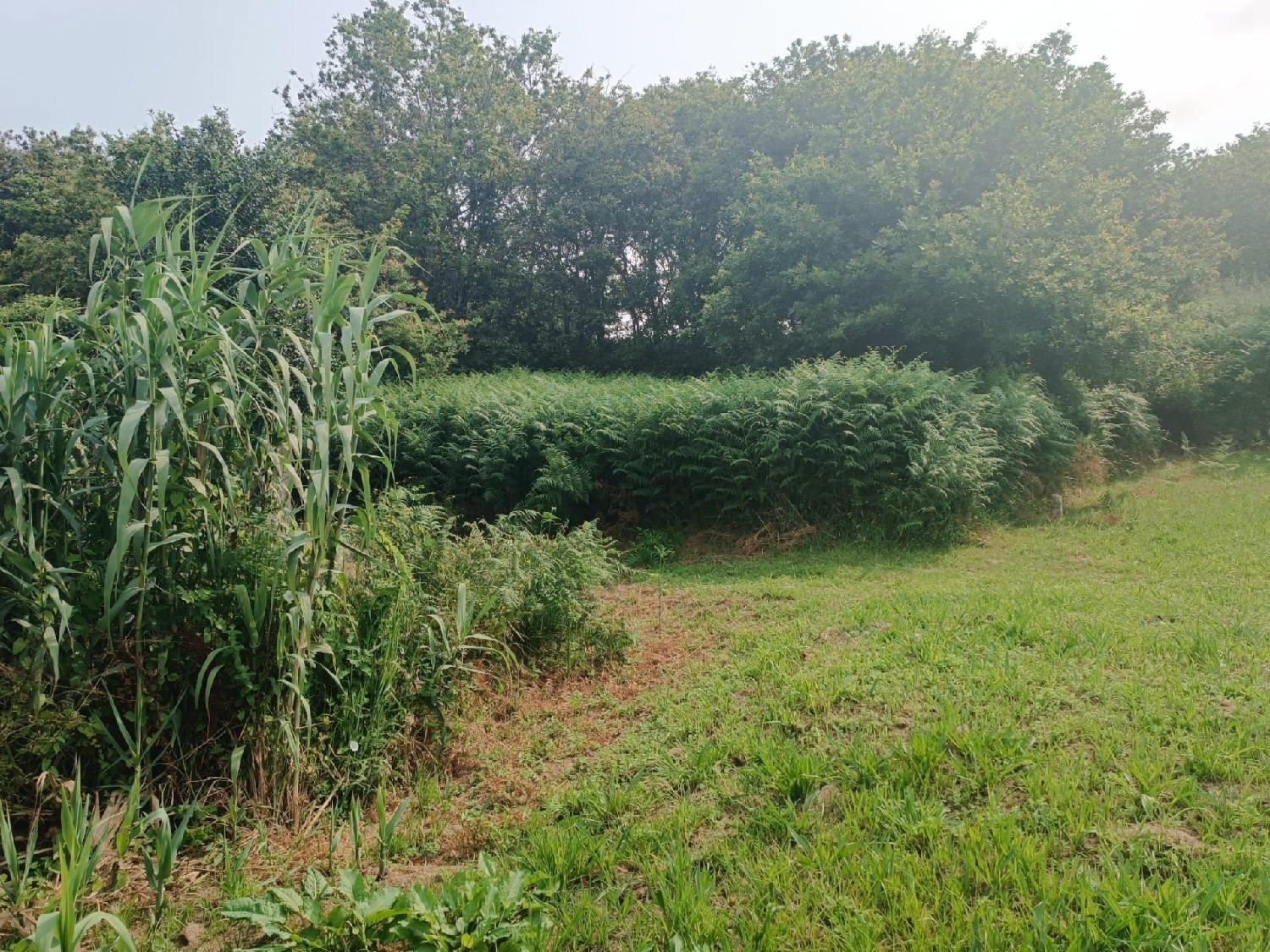  for sale plot Vigobo Barcala 1
