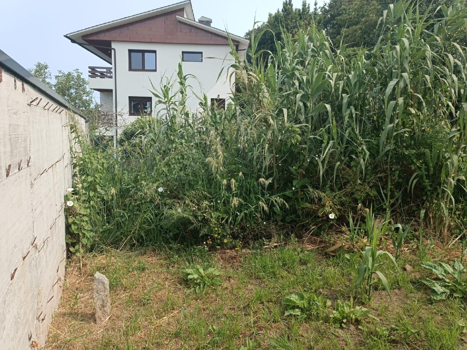 for sale plot Vigobo Barcala 3