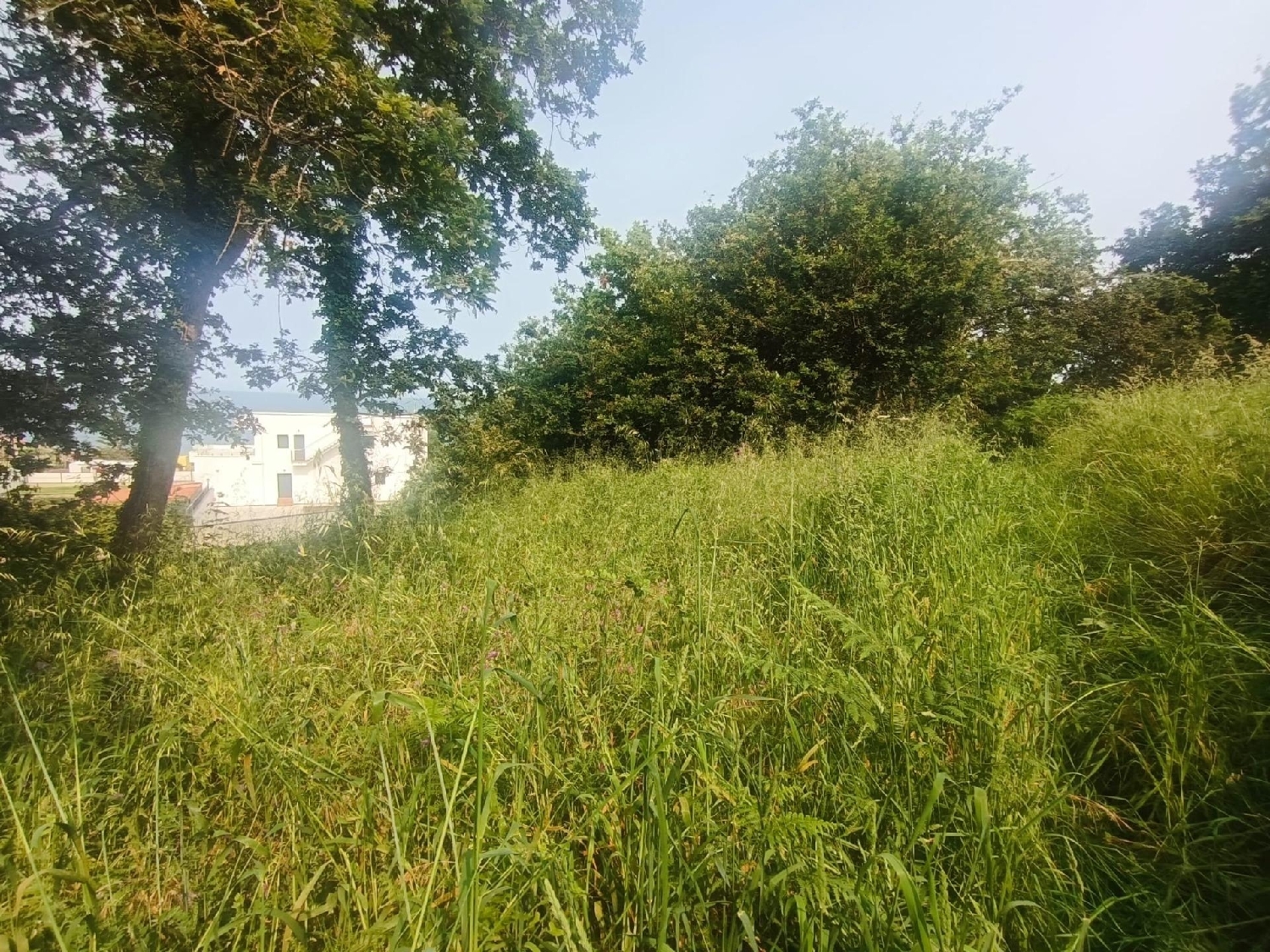  for sale plot Vigobo Barcala 8