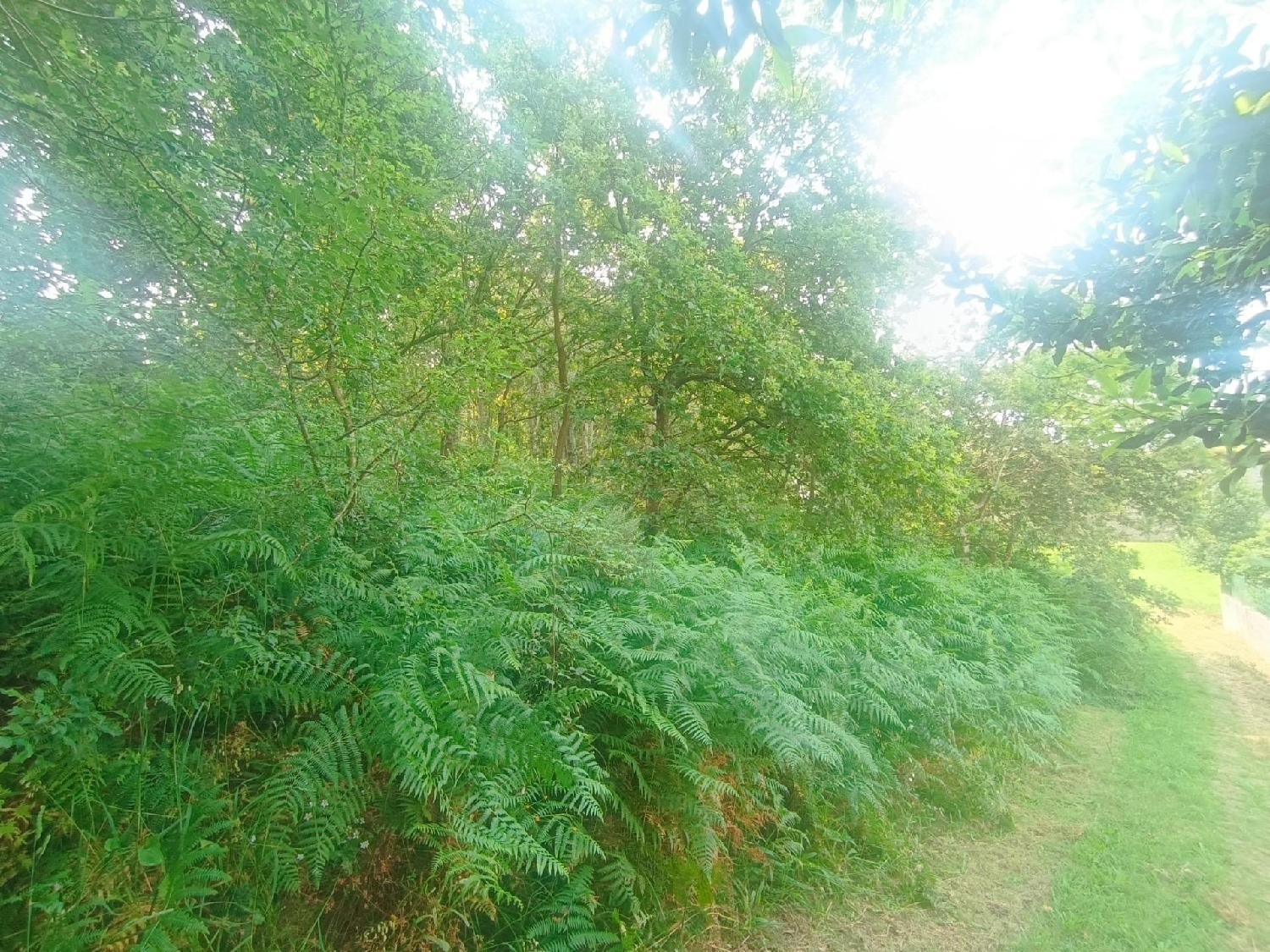  for sale plot Vigobo Barcala 6