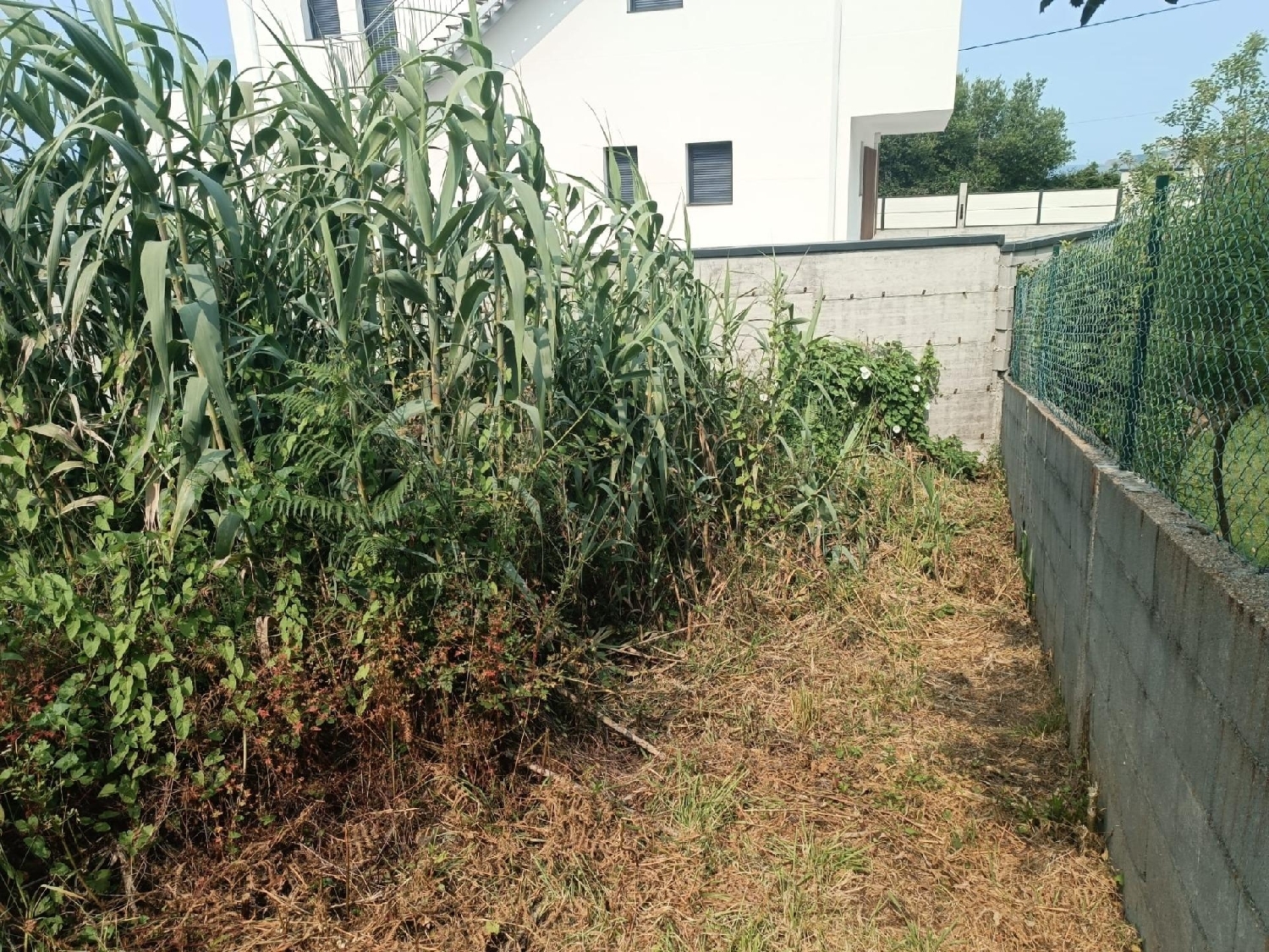 for sale plot Vigobo Barcala 2