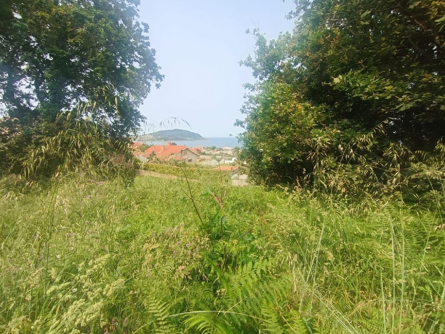  for sale plot Vigobo Barcala 7