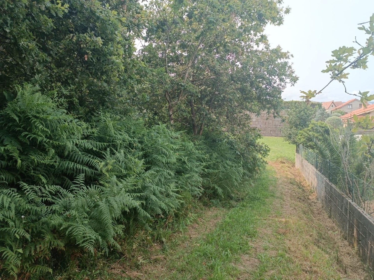  for sale plot Vigobo Barcala 5