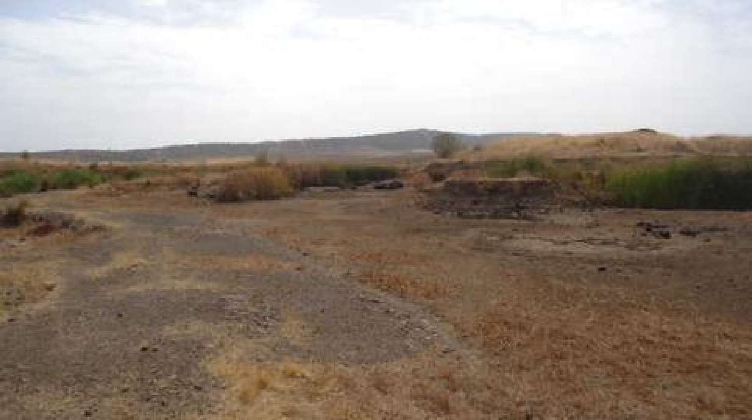 en venta terreno Villagarcía De La Torre Campiña Sur 2