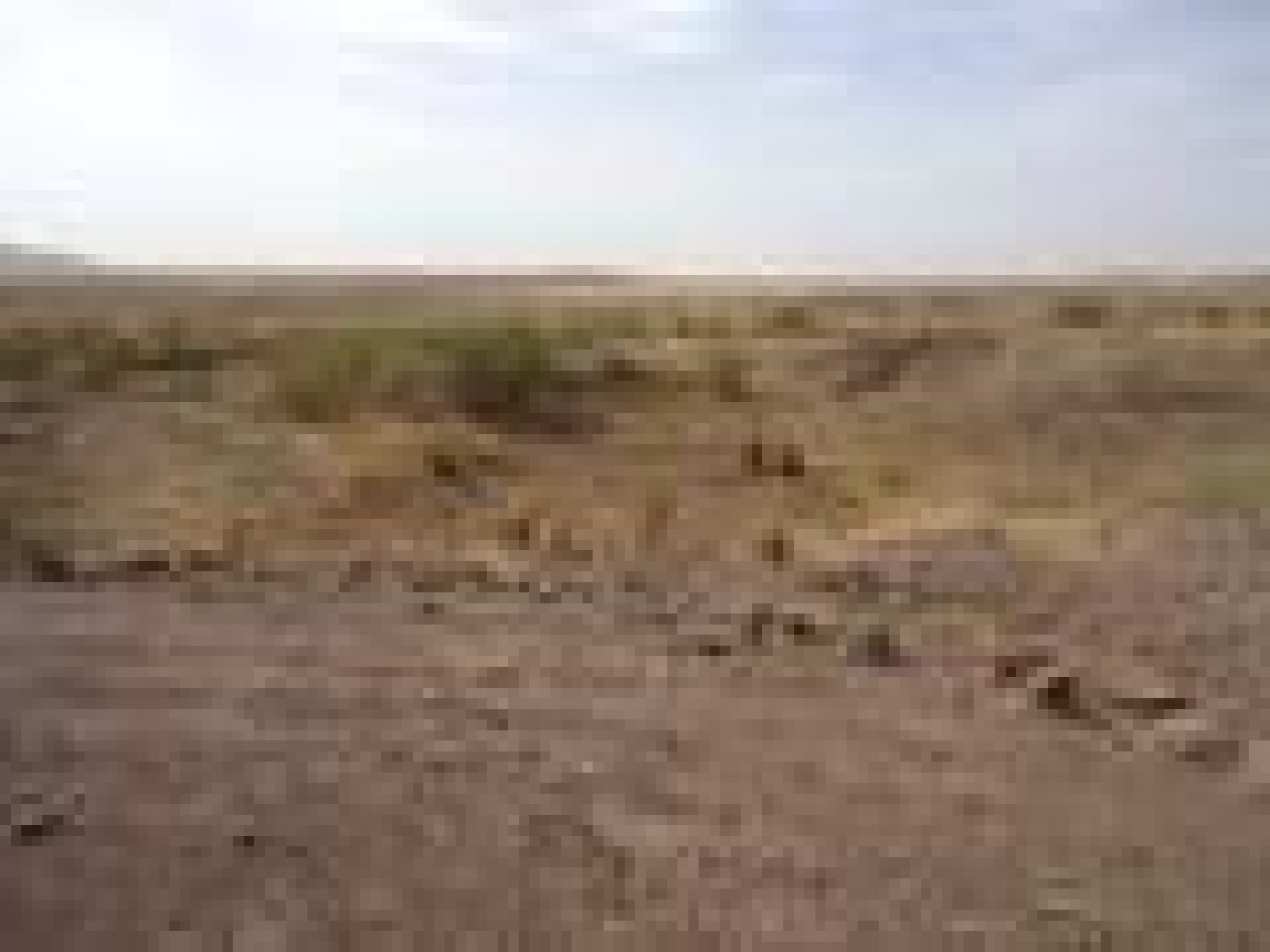 en venta terreno Villagarcía De La Torre Campiña Sur 1