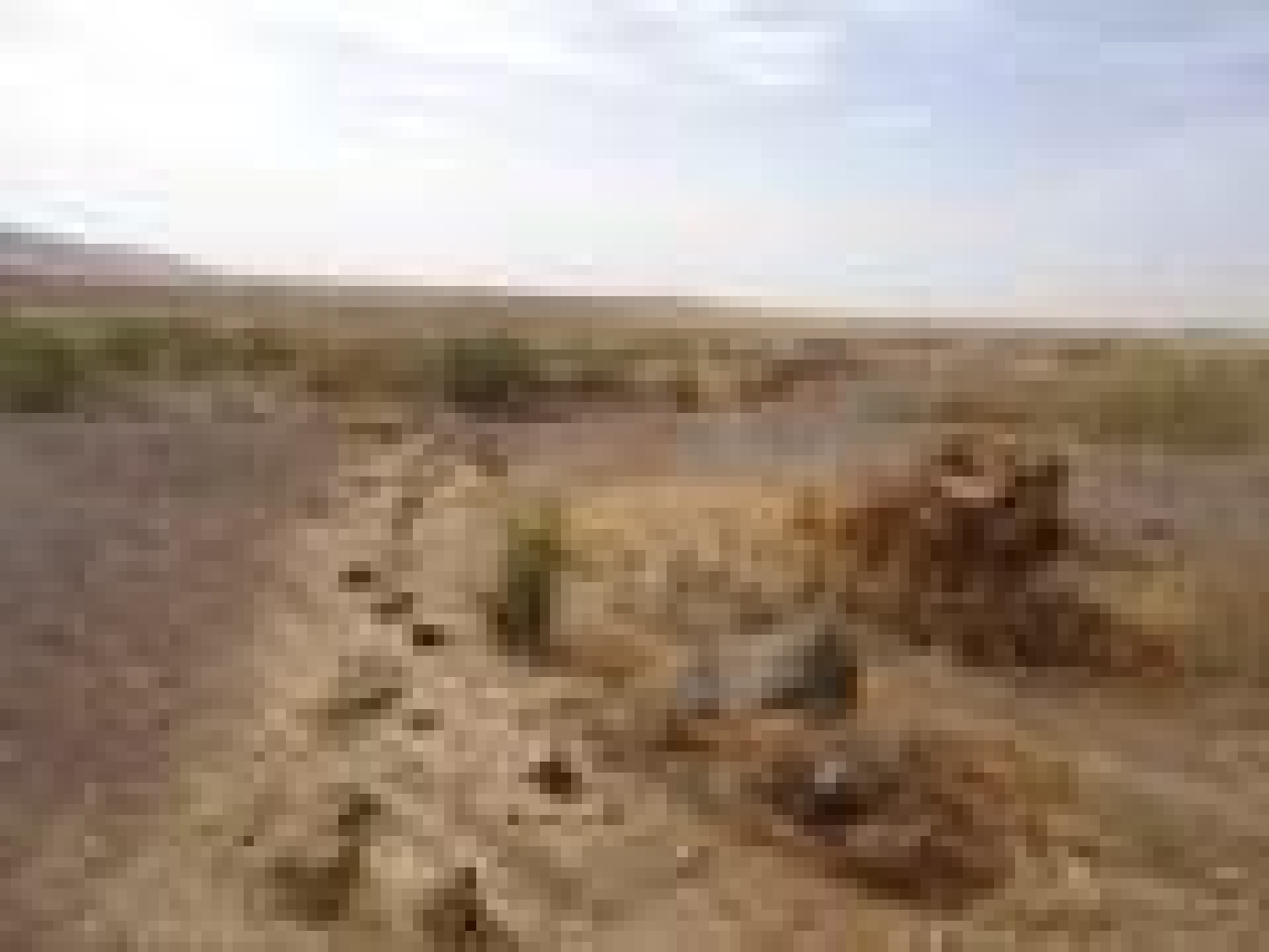 en venta terreno Villagarcía De La Torre Campiña Sur 7