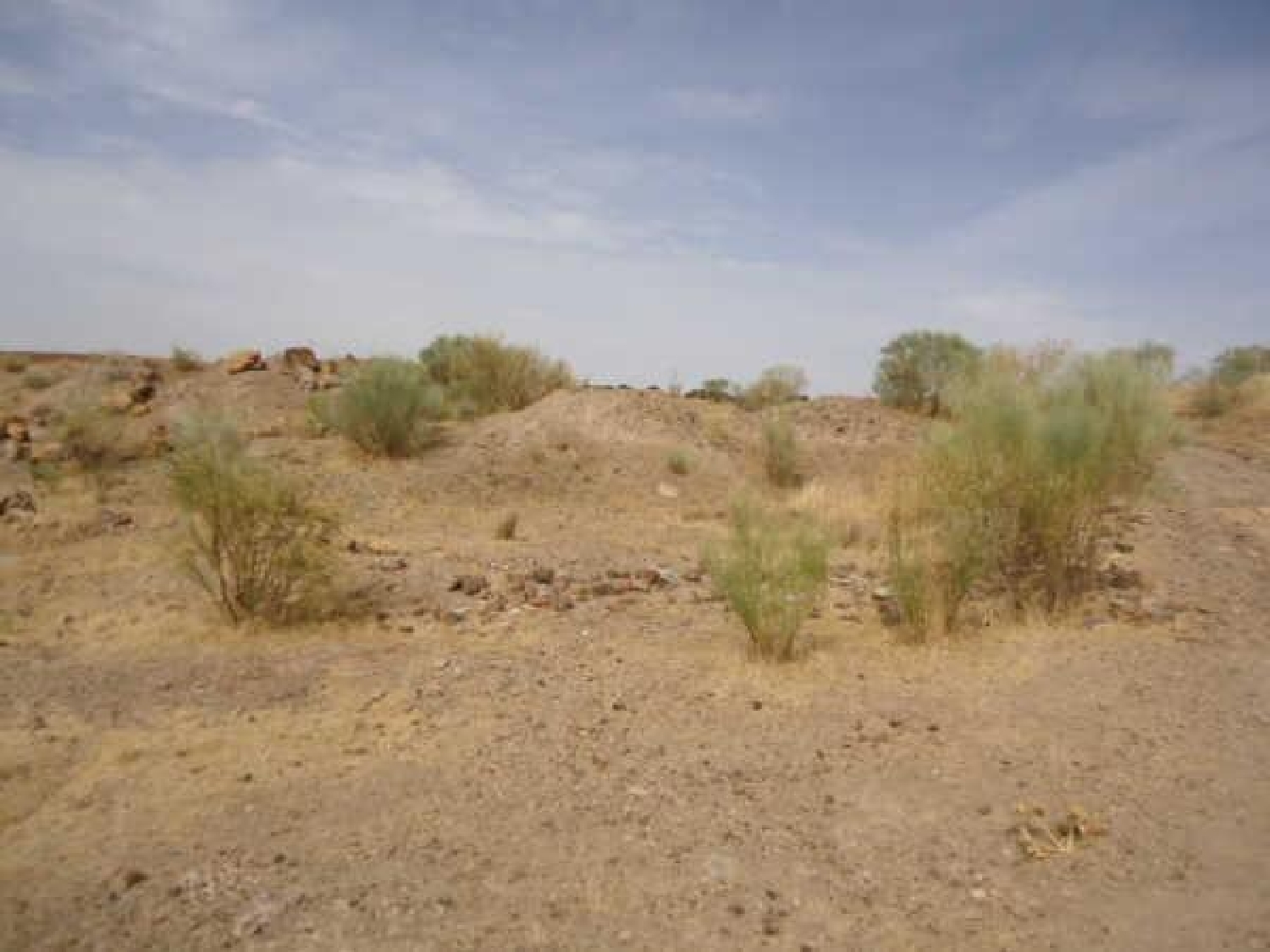 en venta terreno Villagarcía De La Torre Campiña Sur 3