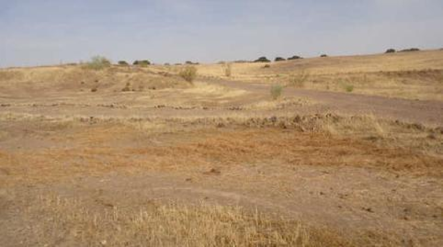 en venta terreno Villagarcía De La Torre Campiña Sur 4