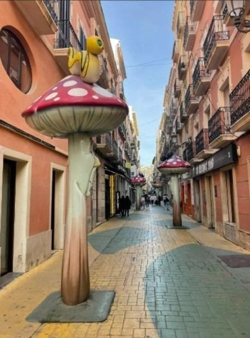 Alicante Centro 03001 Alacantí local commercial foto 6319301