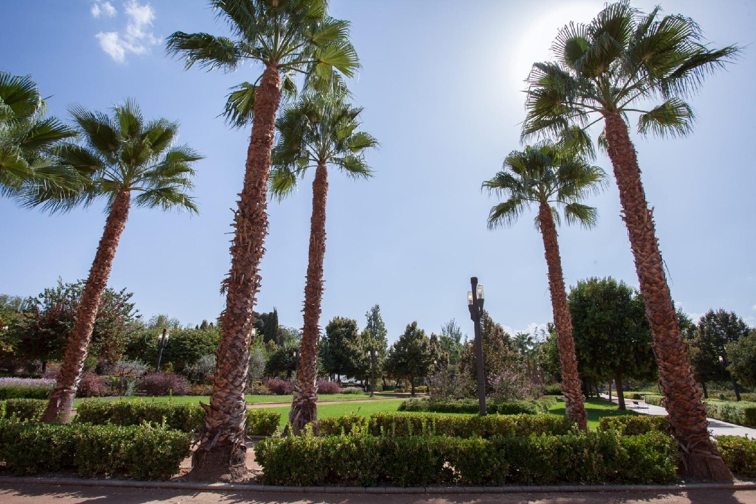 kaufen Gewerberaum Barrio De Granada Alacantí 7