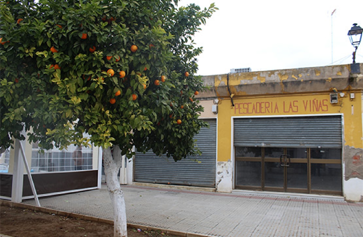  en venta local Cervera Del Río Alhama Rioja Baja 1