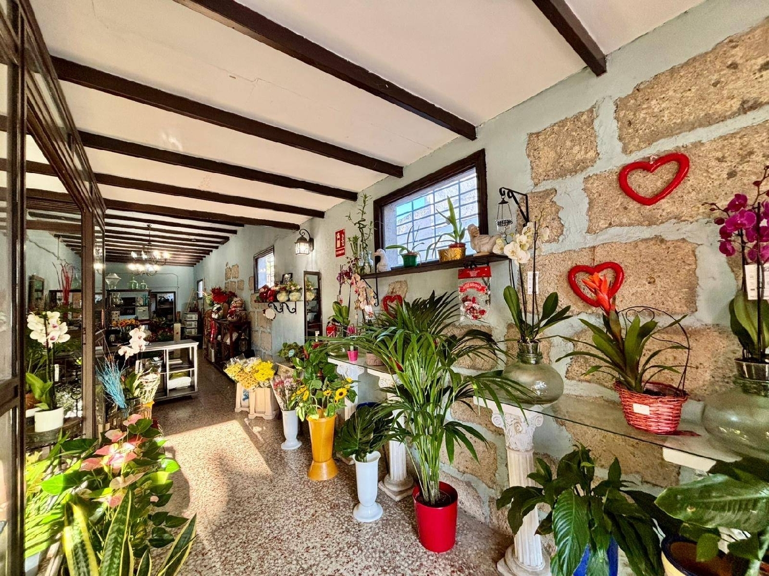  en venta local Guimarans, Guimaráns Barcala 4