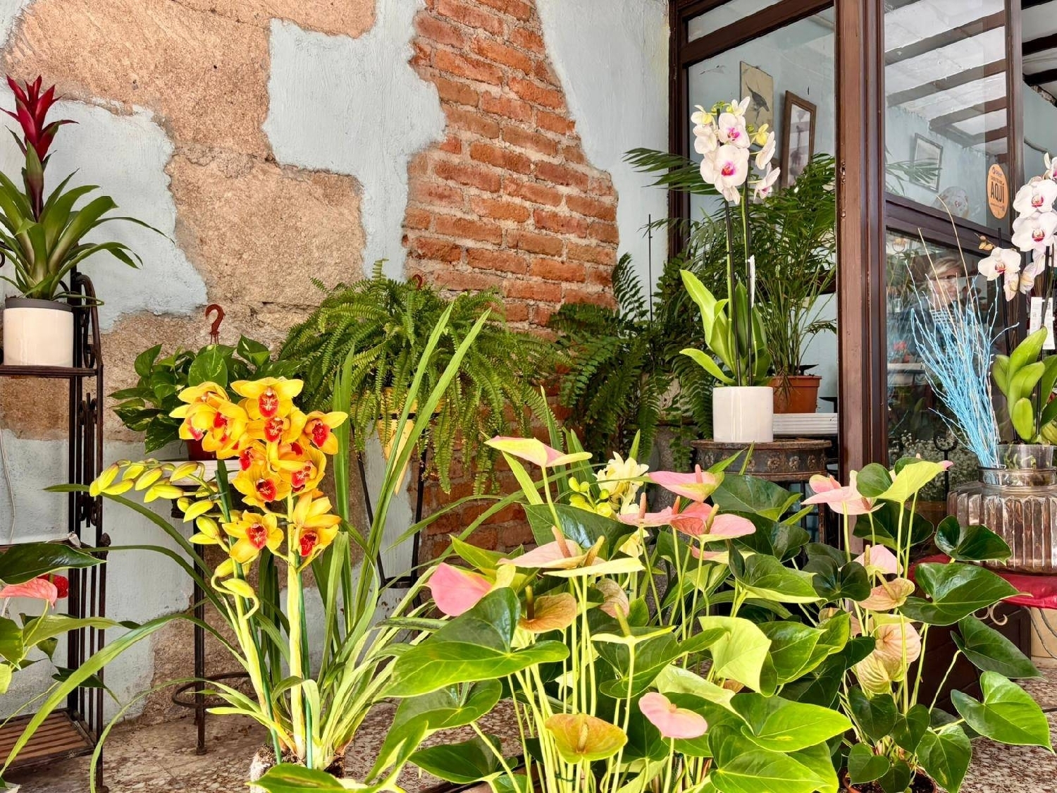  en venta local Guimarans, Guimaráns Barcala 8