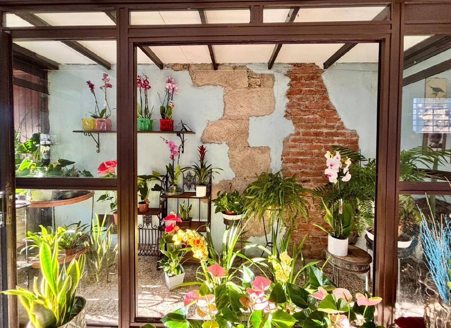  en venta local Guimarans, Guimaráns Barcala 6