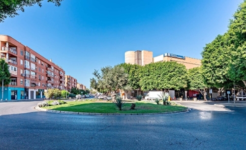 Palmeria Marina Alta commercial premise foto 6308790