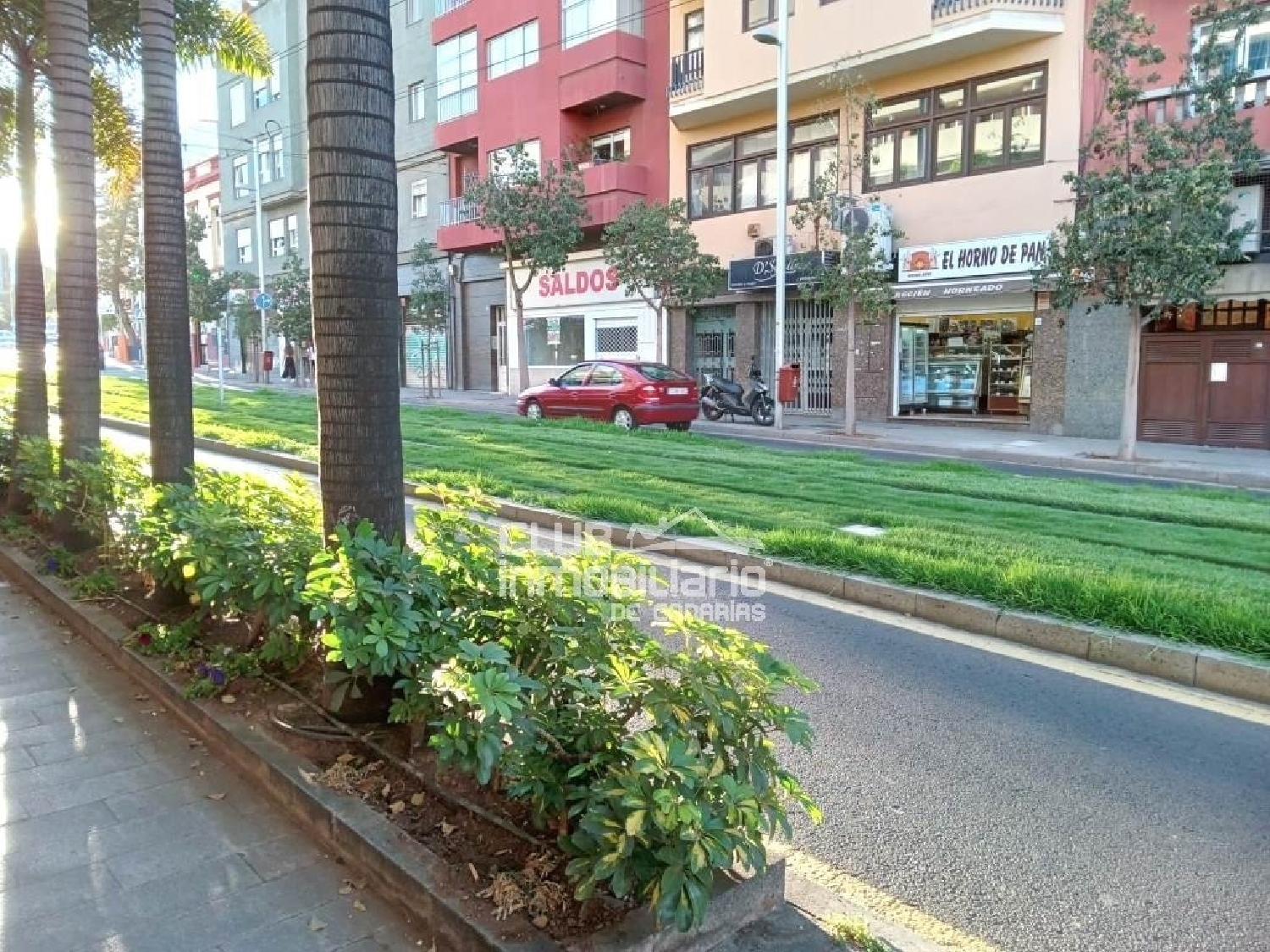  à vendre local commercial Santa Cruz De Tenerife 38000 Zona Metropolitana 6