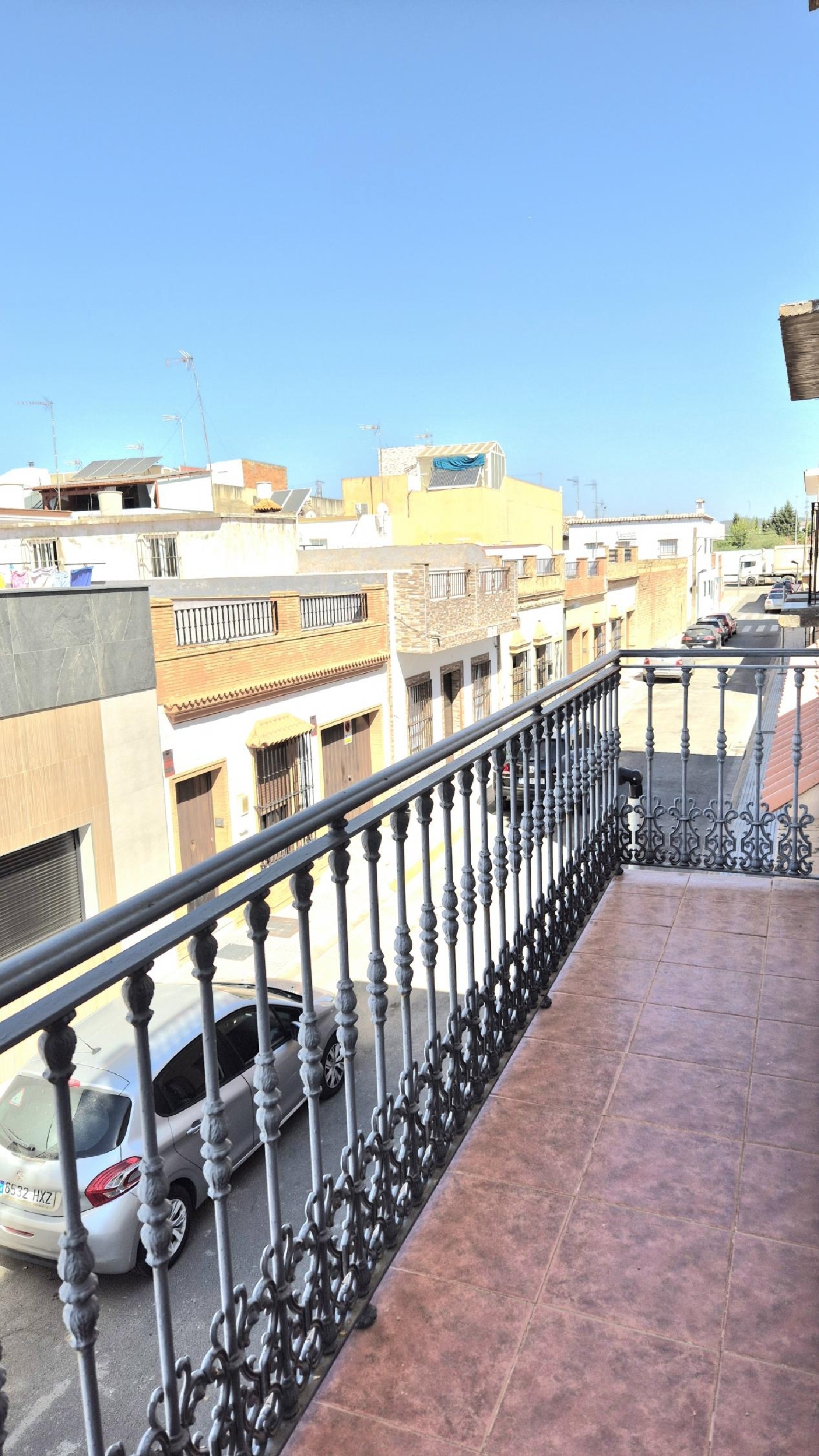 till salu parhus Alcolea Del Río Vega Del Guadalquivir 2