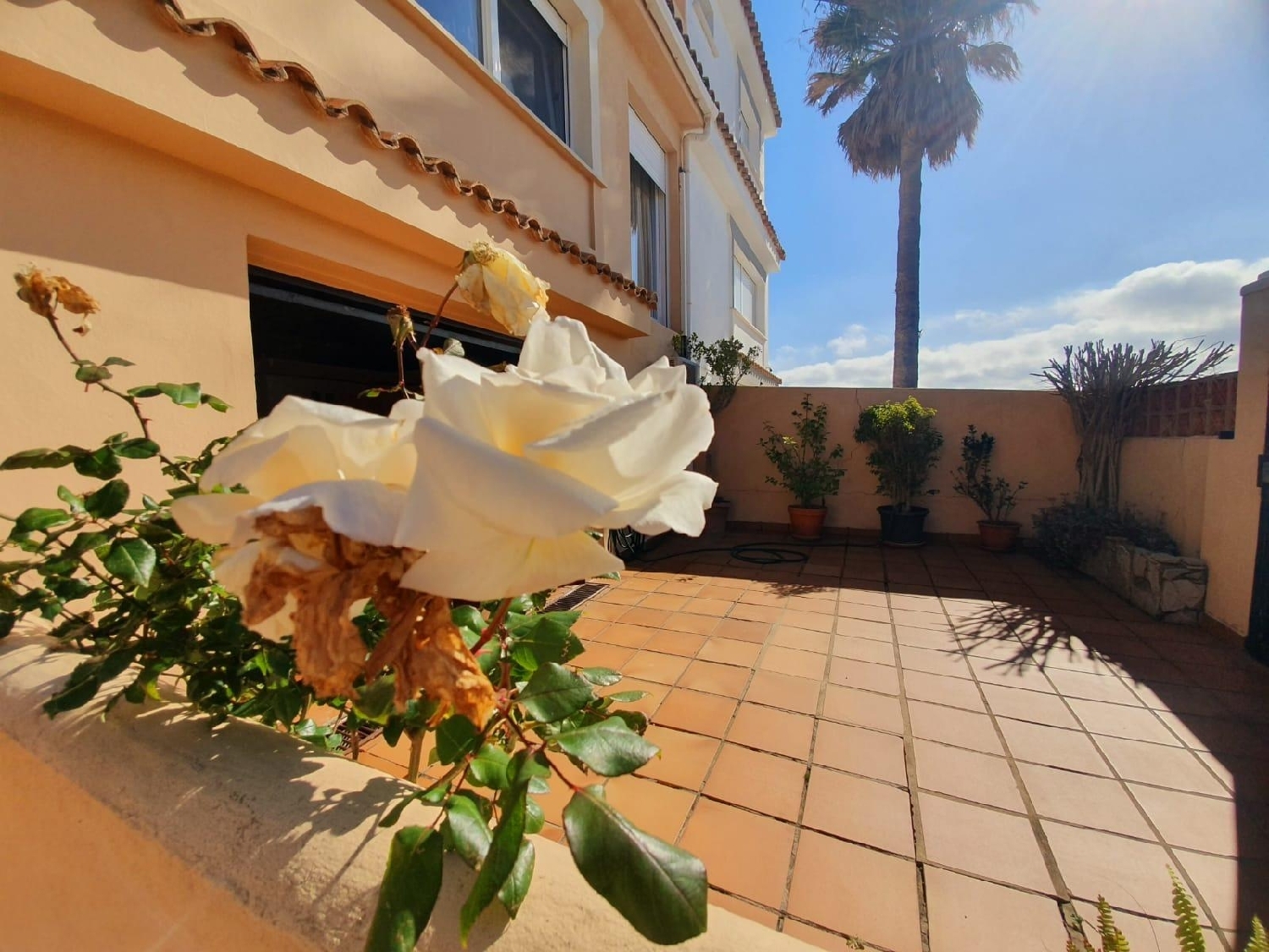  à vendre maison jumelée Algeciras Casco Antiguo Campo De Gibraltar 7