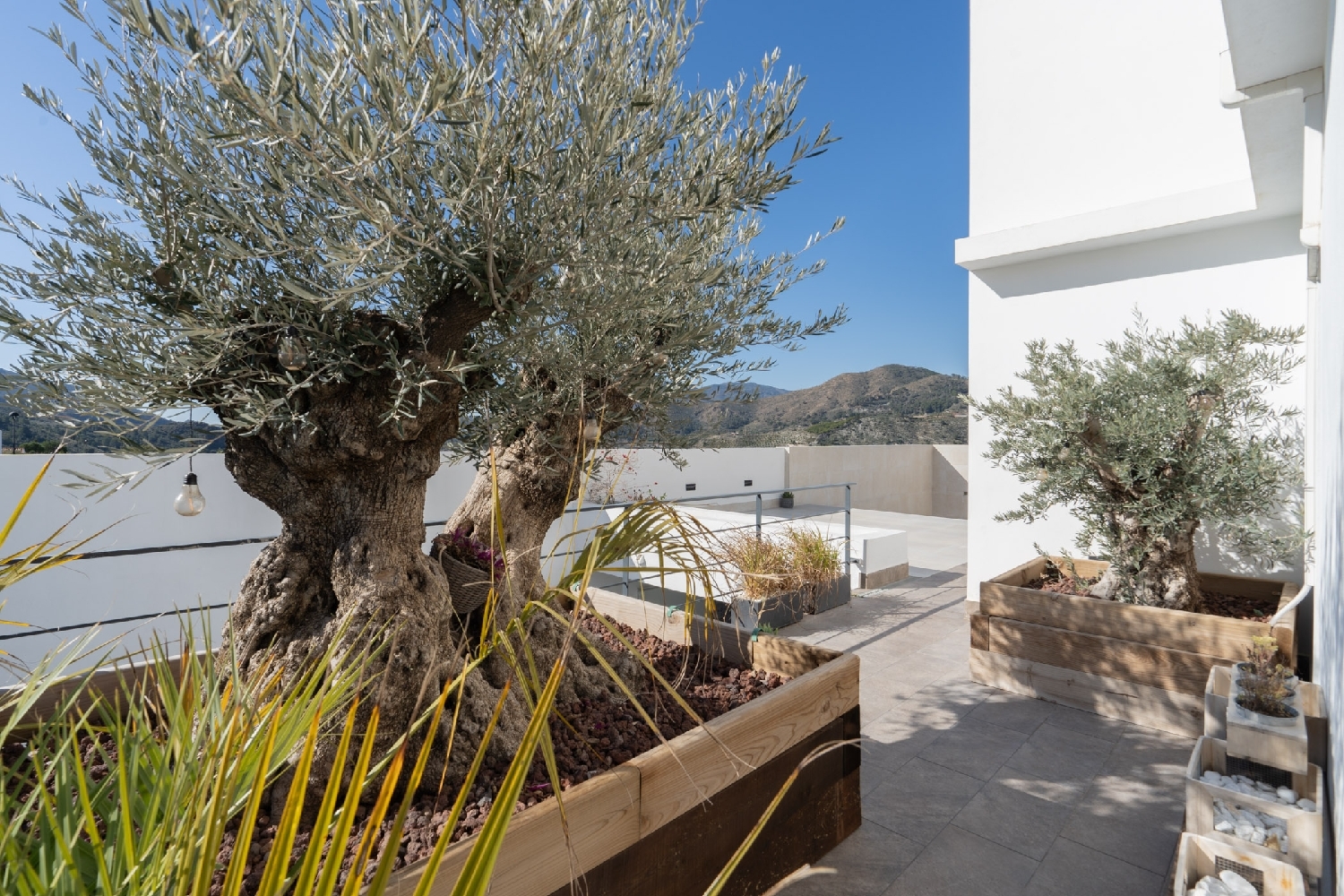 à vendre maison jumelée Vélez De Benaudalla Costa Tropical 8