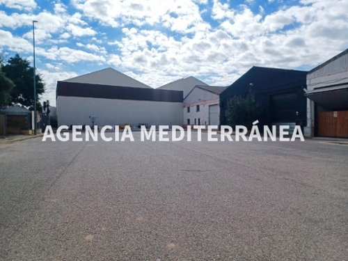 Albal Horta Sud shop foto 6305735