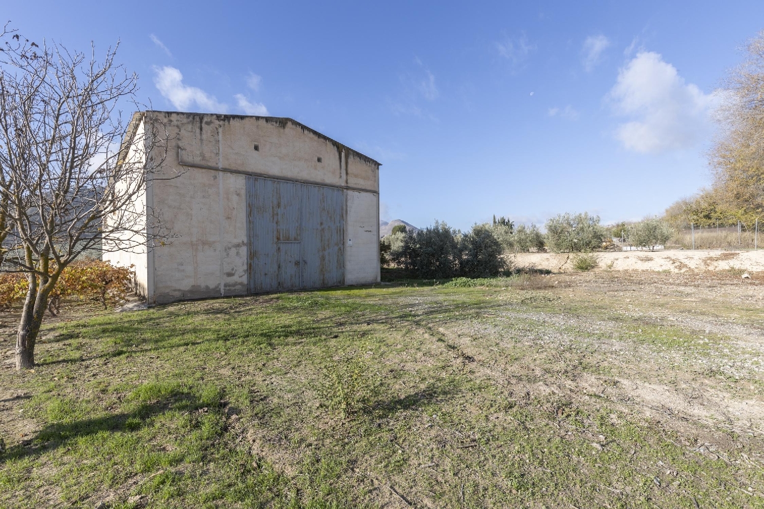 for sale shop Albolote Vega De Granada 7