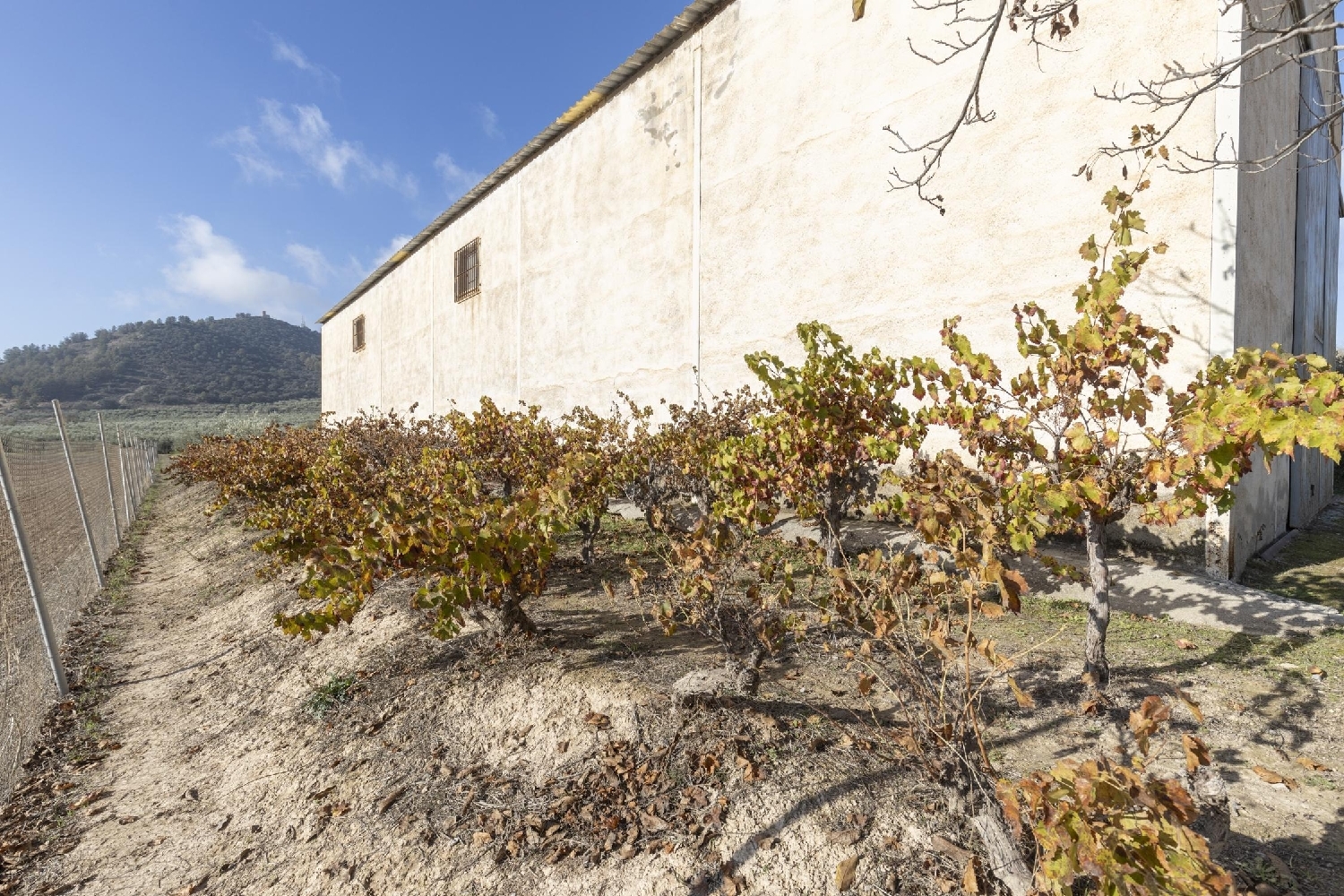 for sale shop Albolote Vega De Granada 8