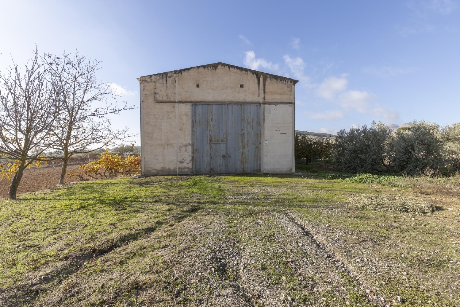for sale shop Albolote Vega De Granada 2