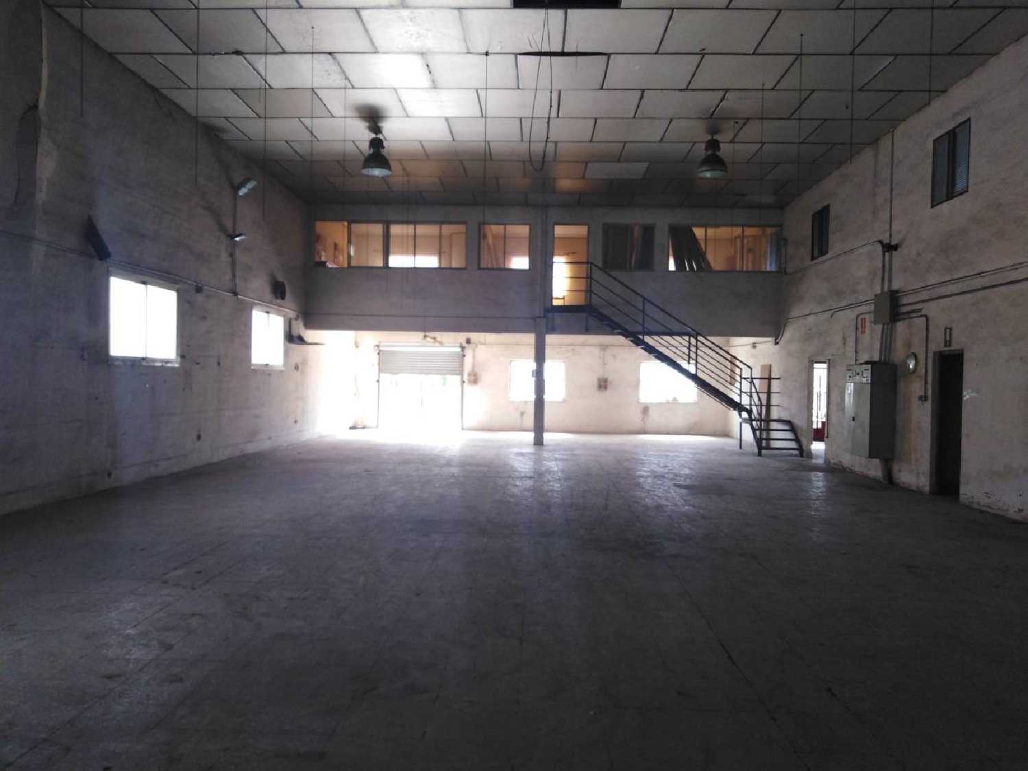  for sale shop Almansa Monte Ibérico Almansa 4