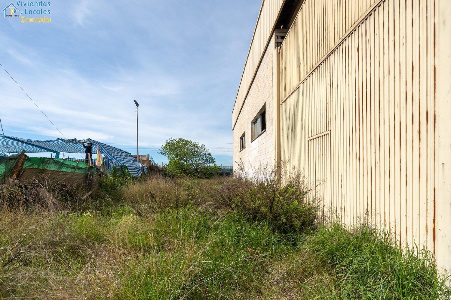 te koop winkel Atarfe Vega De Granada 8