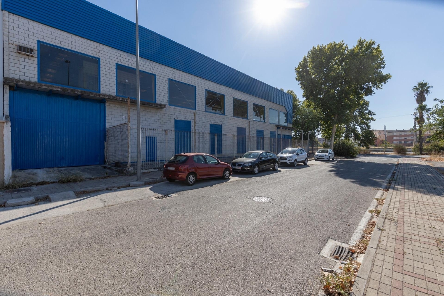 kaufen Laden Santa Fe Vega De Granada 2