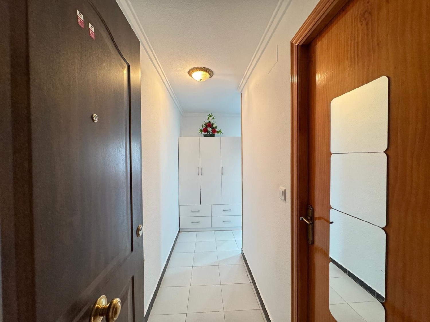 for sale studio apartment Torrevieja Baix Segura 2