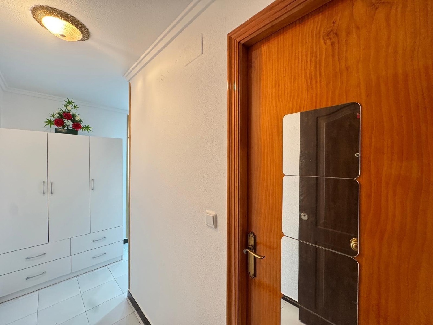 for sale studio apartment Torrevieja Baix Segura 3