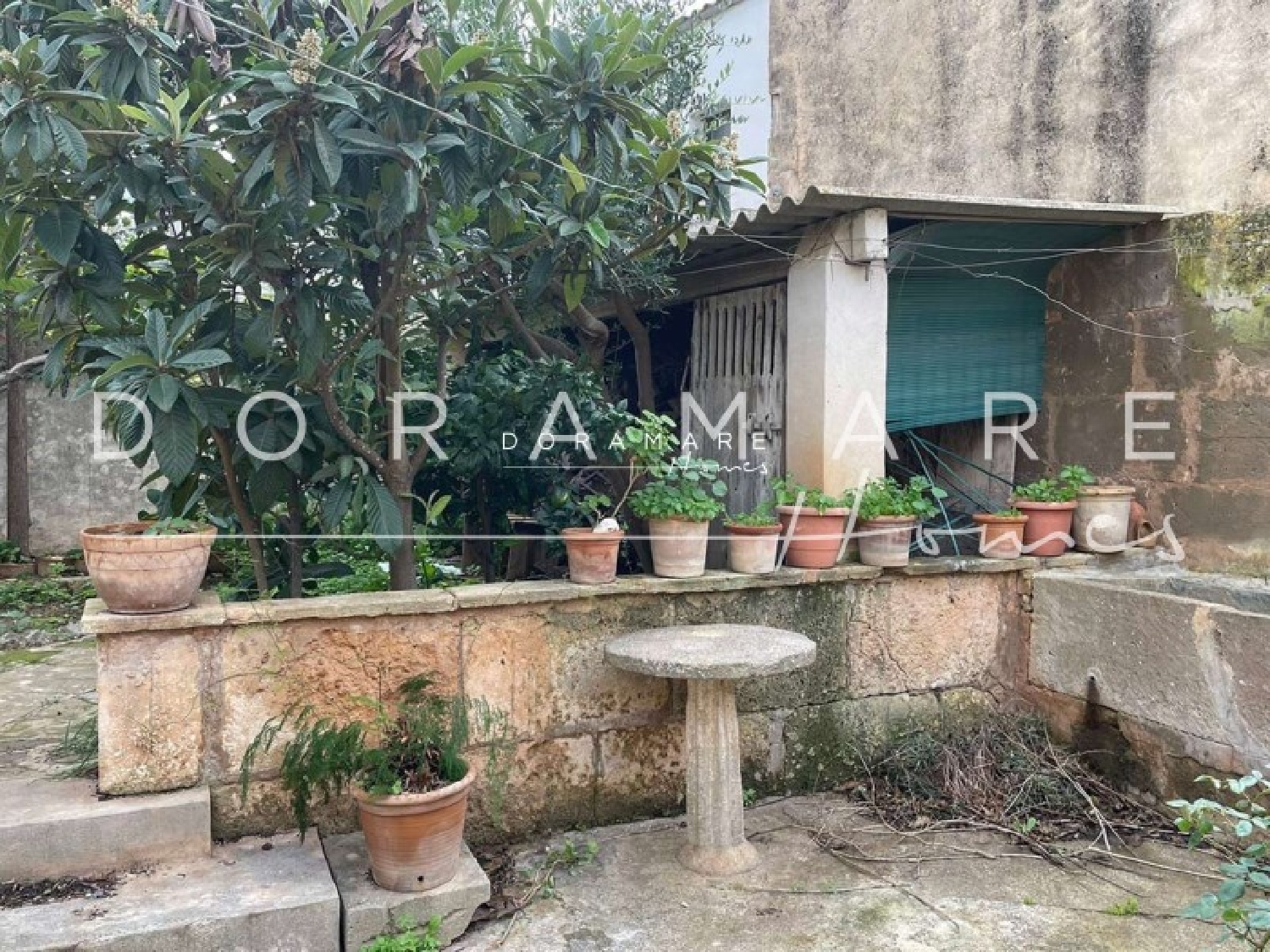  for sale terraced house Campos Sud 4