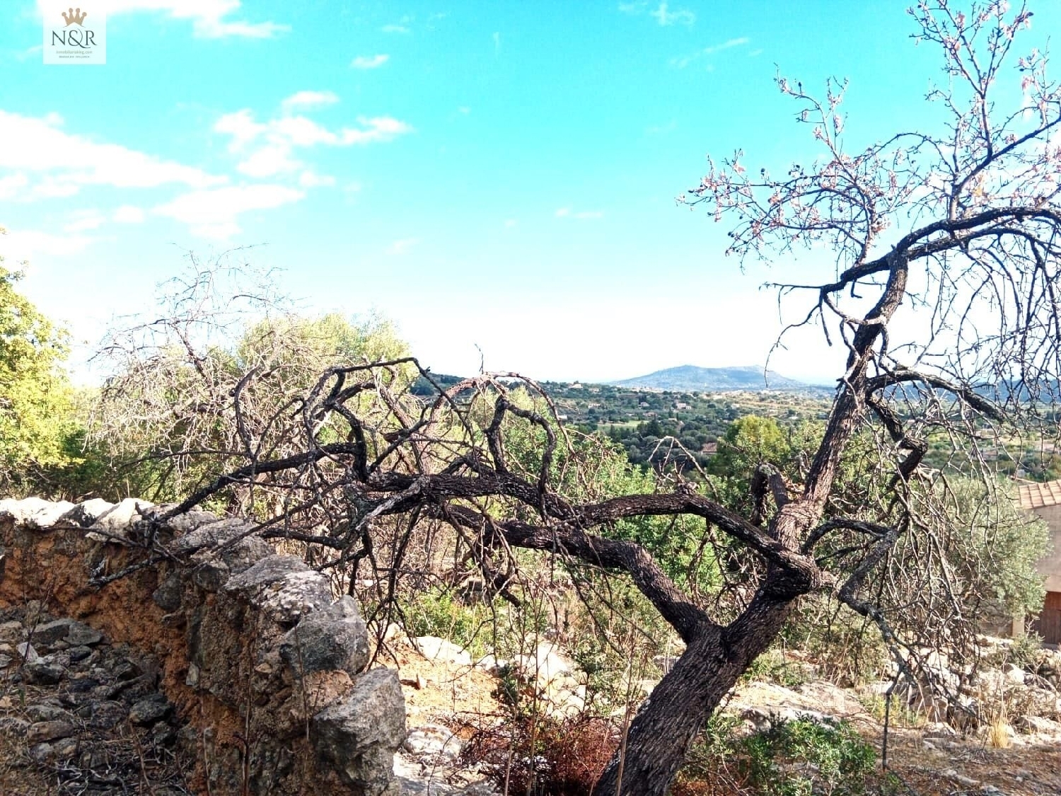  till salu radhus Selva Negra Catalana Baix Llobregat 7