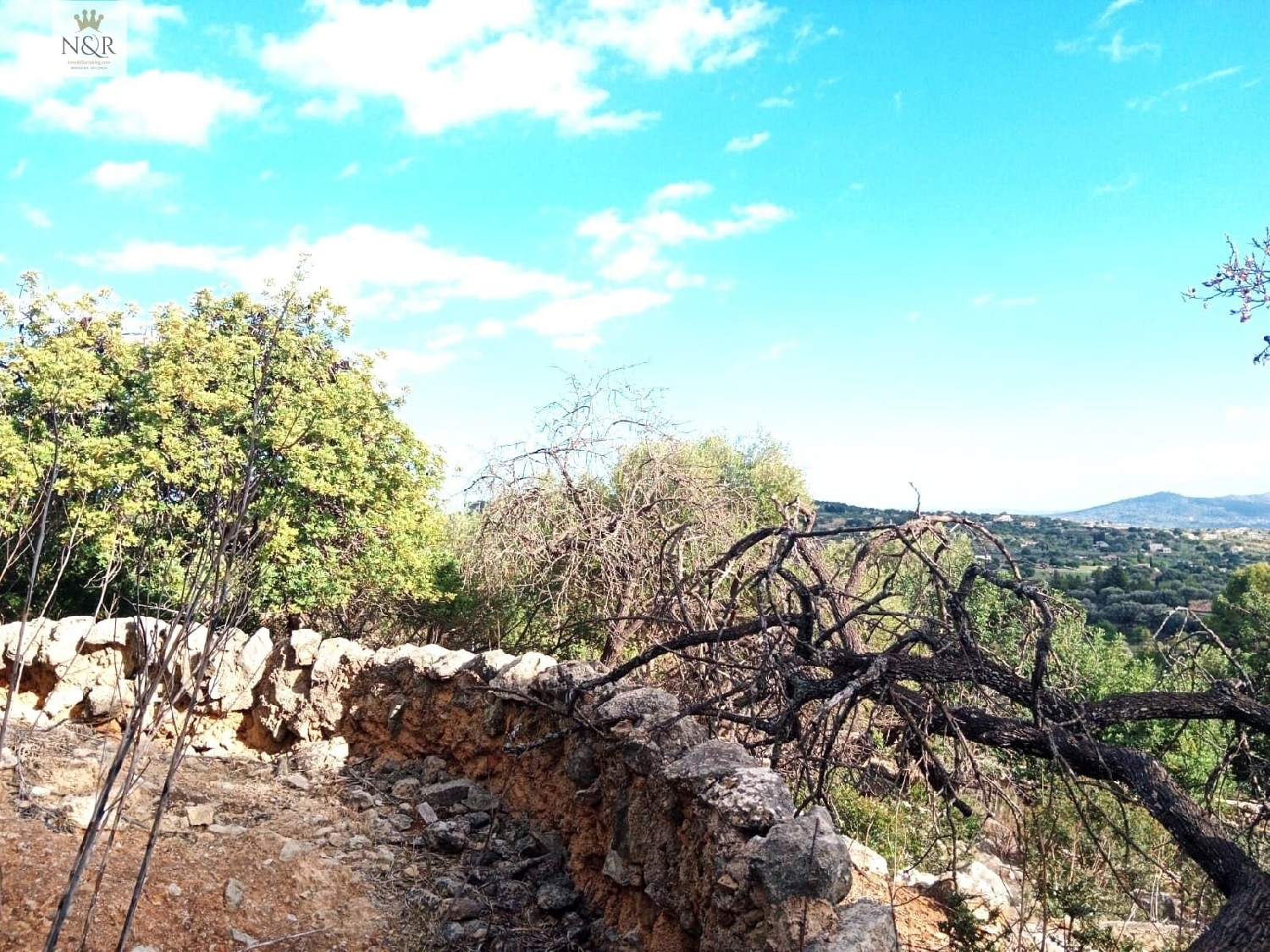  till salu radhus Selva Negra Catalana Baix Llobregat 5